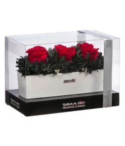 Dehner Keramik-Jardiniere Mit Longlife-Rose Elen, Rot, Ca. B23/H11/T7 Cm -Gardena Store 6537724 WE FS 001 LL Arrang ElenROT