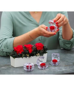 Dehner Keramik-Jardiniere Mit Longlife-Rose Elen, Rot, Ca. B23/H11/T7 Cm -Gardena Store 6537724 WE MO 001 LonglifeArrangementElenRot ImageBild Content