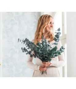 Trockenblumenbund Eukalyptus, Dunkelgrün -Gardena Store 6562409 WE MO 001 EucalyptusGruen