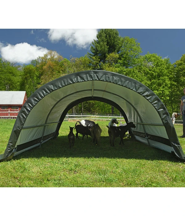Shelter Logic Weidezelt Run-In, Ca. B260/H150/T300 Cm 5 Shelter Logic Weidezelt Run-In, Ca. B260/H150/T300 Cm – Bild 3