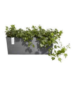 Ecopots Kunststoff-Kasten Bruges Hängend, Rechteckig, Grau, Ca. B55/H21/T20 Cm -Gardena Store 6614416 WE FS 003 EcopotsKunststoffKastenBrugeshaengendrechteckiggrau