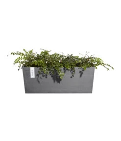 Ecopots Kunststoff-Kasten Bruges Hängend, Rechteckig, Grau, Ca. B55/H21/T20 Cm -Gardena Store 6614416 WE FS 004 EcopotsKunststoffKastenBrugeshaengendrechteckiggrau