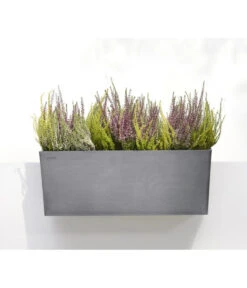 Ecopots Kunststoff-Kasten Bruges Hängend, Rechteckig, Grau, Ca. B55/H21/T20 Cm -Gardena Store 6614416 WE MO 001 EcopotsKunststoffKastenBrugeshaengendrechteckiggrau