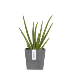 Ecopots Kunststoff-Kasten Manhattan Mit Wassersystem, Grau -Gardena Store 6614895 WE FS 005 EcopotsKunststoffTopfManhattanWallSmitWassersystemquadratischgrau