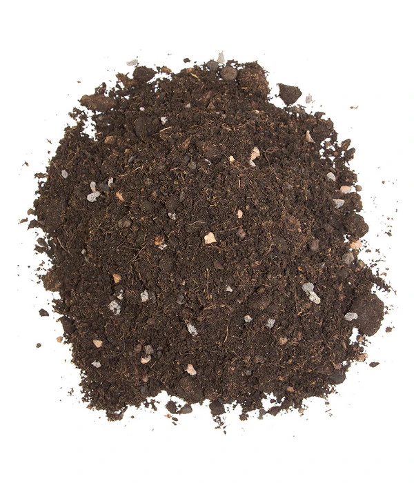 Floragard Zitrus- Und Mediterranpflanzenerde 6 Floragard Zitrus- Und Mediterranpflanzenerde – Bild 4