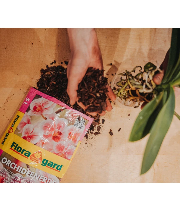 Floragard Orchideenerde, 3 X 5 L 4 Floragard Orchideenerde, 3 X 5 L – Bild 2
