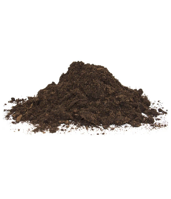 Floragard Aktiv Grünpflanzen- Und Palmenerde 5 Floragard Aktiv Grünpflanzen- Und Palmenerde – Bild 3