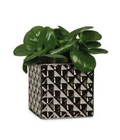 Scheurich Keramik-Übertopf Titanium, Quadratisch, Silber -Gardena Store 6642060 WE FS 003 TopfTataniumSilber