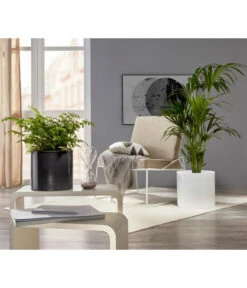 Scheurich Keramik-Übertopf, Rund, Ca. Ø33 Cm -Gardena Store 6642151 PR MO 001 TopfPanna