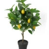 Dehner Kunstpflanze Zitronenbaum -Gardena Store 6713408 WE FS 001 KunstpflanzeZitronenbaumgetopft