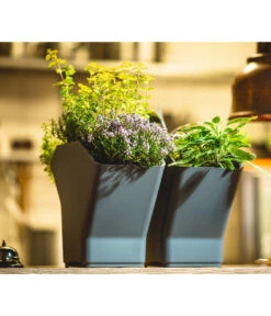 Kunststoff-Pflanzbaum-Set, Grau, Ca. B31,3/H77,3/31,3 Cm -Gardena Store 6739528 WE MO 001 KunststoffPflanzbaumSetgrau