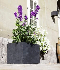 Climaqua Schiefer-Kasten Recto, Rechteckig -Gardena Store 6877898 WE MO 001 ClimaquaSchieferKastenRectorechteckig