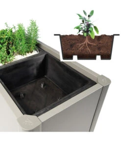 Biohort Pflanzeinsatz Belvedere