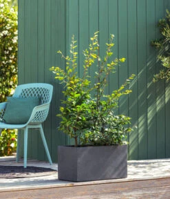 Kunststoff-Kasten Kebe, Rechteckig, Ca. B100/H40/T40 Cm -Gardena Store 6935449 WE MO 001 PflanzkastenKebeAnthrazit