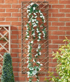 Smart Garden Weide-Spalier, Ca. B45/H120/T6 Cm -Gardena Store 6947477 WE MO 001 SmartGardenHolzSpalier