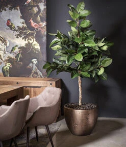 Fleur Ami Kunststoff-Vase Magnifico, Konisch, Bronze 7 Fleur Ami Kunststoff-Vase Magnifico, Konisch, Bronze -Gardena Store 6999536 WE MO 001 fleuramiKunststoffTopfMagnificorundbronze