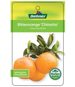 Bitterorange 'Chinotto' 10 Bitterorange 'Chinotto' -Gardena Store 7119803 BitterorangeChinottoEtikett1