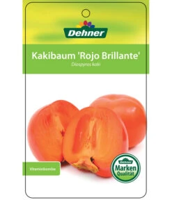Dehner Kaki 'Rojo Brillante' - Kaki-Pflaume 'Rojo Brillante' 14 Dehner Kaki 'Rojo Brillante' - Kaki-Pflaume 'Rojo Brillante' -Gardena Store 7167414 KakiRojoBrillante Etikett 01