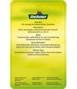 Portugiesischer Kirschlorbeer 'Angustifolia' -Gardena Store 7362833 PortugiesischerKirschlorbeerAngustifolia Etikett 2