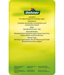 Rhododendron 'Morgenrot' -Gardena Store 7447329 RhododendronMorgenrot Etikett 2