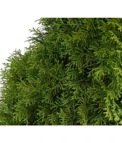 7 Meter Lebensbaum 'Smaragd', 14 X Ca. 125-150 Cm 11 7 Meter Lebensbaum 'Smaragd', 14 X Ca. 125-150 Cm -Gardena Store 7513534 WE DE 001 ThujaLebensbaumOccidentalisSmaragd20LDehnerExpressHerzig 1