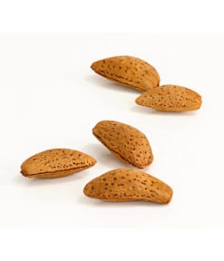 Mandelbaum 7 Mandelbaum -Gardena Store 7603889 WE DE 002 MandelPalatinaPrunusDulcisDehnerExpressHerzig