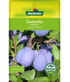Zwetschge 'Haroma' -Gardena Store 7662703 ZwetscheHaroma Etikett 1