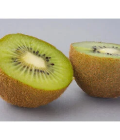Dehner Kiwi 'Hayward', Weiblich -Gardena Store 7664394 WE DE 003 KiwiHaywardPixabay