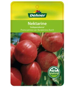 Dehner Nektarine 'Independence' -Gardena Store 7687304 NektarineIndependence Etikett 1