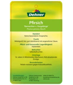 Dehner Pfirsich 'Kernechter Vom Vorgebirge' -Gardena Store 7695505 PfirsichKernechterVomVorgebirge Etikett 2