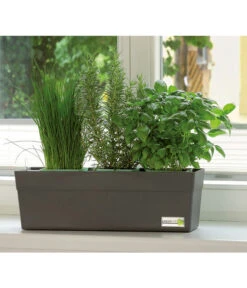 GREENBAR® Ersatzvlies, 3er-Pack -Gardena Store 7750482 PR MO 001 GreenbarAnleitungIndoorSeidl 1