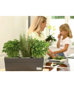 GREENBAR® Ersatzvlies, 3er-Pack -Gardena Store 7750482 PR MO 003 GreenbarAnleitungIndoorSeidl 1