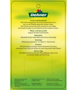 Dehner Tellerpfirsich -Gardena Store 7763378 Tellerpfirsich Etikett 2