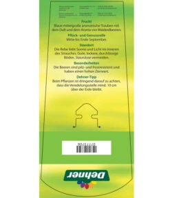 Tafeltraube 'Erdbeertraube' -Gardena Store 7773708 TafeltraubeErdbeertraube Etkett 2