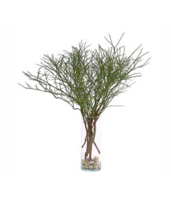 Heidelbeere-Bund, Ca. 40-50 Cm -Gardena Store 8148991 WE FS 001 HeidelbeereBundDehnerExpressHerzig 1