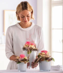 Longlife-Rose, Ca. Ø6 Cm 15 Longlife-Rose, Ca. Ø6 Cm -Gardena Store 8170235 WE MO 001 LonglifeRose