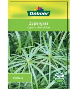 Zypergras - Cyperus Alternifolius -Gardena Store 8218224 Zypergras Etikett 1