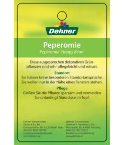 Peperomie - Peperomia Ferreyrae 'Happy Bean' -Gardena Store 8252397 PeperomiaHappyBean 22022017 2