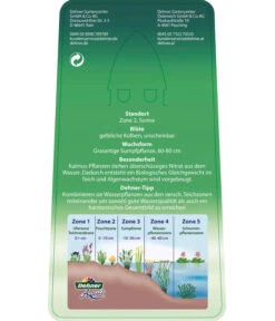 Dehner Kalmus 12 Dehner Kalmus -Gardena Store 8310104 KalmusAcorusCalamus Etikett 2