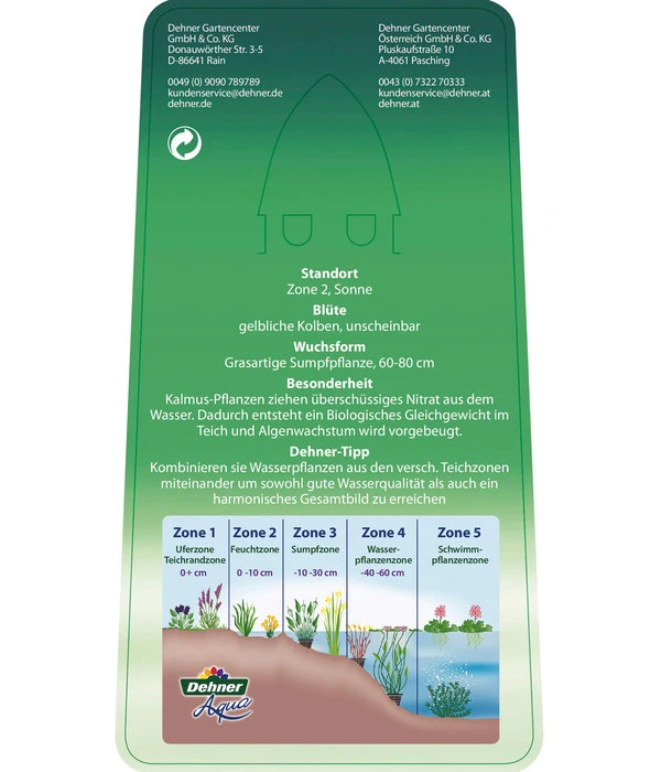 Dehner Kalmus 7 Dehner Kalmus – Bild 5