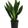 Bogenhanf - Sansevieria Trifasciata 'Jade', Hydrokultur 1 Bogenhanf - Sansevieria Trifasciata 'Jade', Hydrokultur -Gardena Store 8416828 WE FS 001 SansevieriaTrifasciataJadeTuffHydroT18 19BogenhanfDehnerExpressHerzig