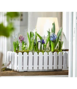 Netzblatt-Iris 'Harmony' -Gardena Store 8517187 WE MO 002 HyazintheHyazinthus1erSchneegloeckchenGalanthusElwesiiTraubenhyazintheMuscariArmeniacumIrisReticulata