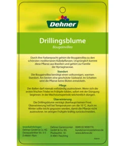 Drillingsblume, Ministamm 11 Drillingsblume, Ministamm -Gardena Store 8583700 DrillingsblumeStamm 28012016 2