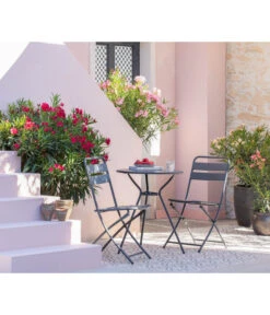 XXL Oleander, Verschiedene Sorten, Ca. 130-150 Cm -Gardena Store 8596900 WE MO 001 Oleander