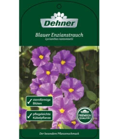 Blauer Enzianstrauch 10 Blauer Enzianstrauch -Gardena Store 8600835 BlauerEnzianstrauch Etikett 1