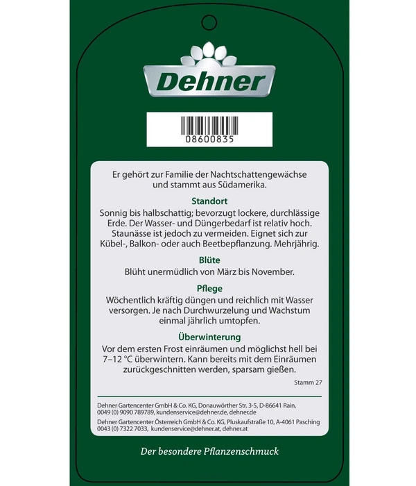 Blauer Enzianstrauch 7 Blauer Enzianstrauch – Bild 5