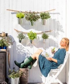 Dehner Gourmet Garten Oregano 8 Dehner Gourmet Garten Oregano -Gardena Store 8610123 WE MO 001 Oregano Kraeuter 1