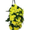 Wandhänger Mit Hängebegonien, Verschiedene Sorten -Gardena Store 8810988 WE FS 001 HaengebegonieWandhaengergelb