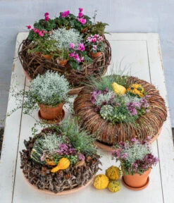 Dehner Kranz Weinrebe Frost, Ca. Ø48 Cm 6 Dehner Kranz Weinrebe Frost, Ca. Ø48 Cm -Gardena Store 8815763 6273635 WE MO 001 MuecaKrazWeinrebeFrost 1