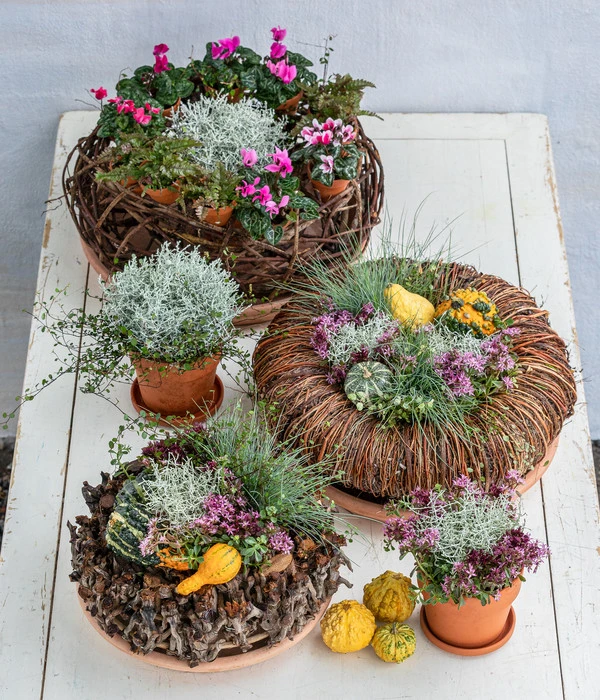 Dehner Kranz Weinrebe Frost, Ca. Ø48 Cm 4 Dehner Kranz Weinrebe Frost, Ca. Ø48 Cm – Bild 2